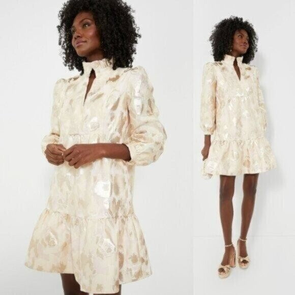 Tuckernuck NEW Champagne Fil Coupe Palmerston Formal Mini Dress Size XXS